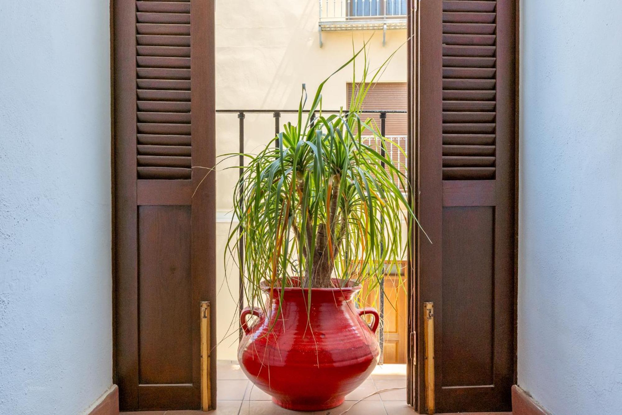 Denia Townhouse Daire Dış mekan fotoğraf